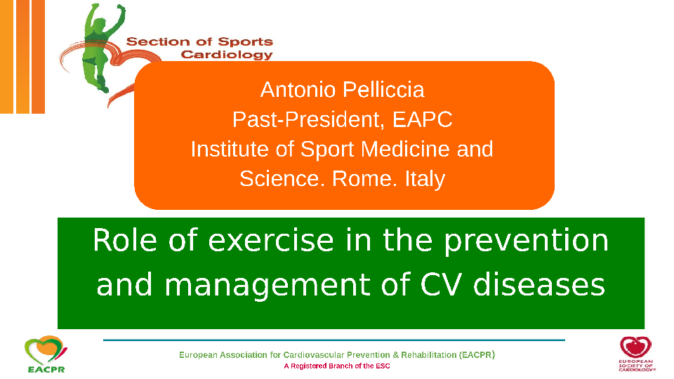 Coronary artery disease and sport activity